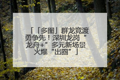 「多图」群龙竞渡勇争先！深圳龙岗“龙舟+”多元新场景火爆“出圈”