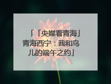 「央媒看青海」青海西宁：我和鸟儿的端午之约