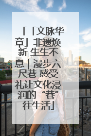 「文脉华章」非遗焕新 生生不息｜漫步六尺巷 感受礼让文化浸润的“巷”往生活