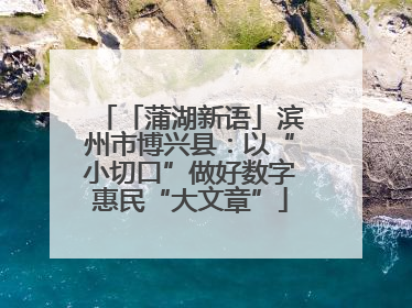 「蒲湖新语」滨州市博兴县：以“小切口”做好数字惠民“大文章”