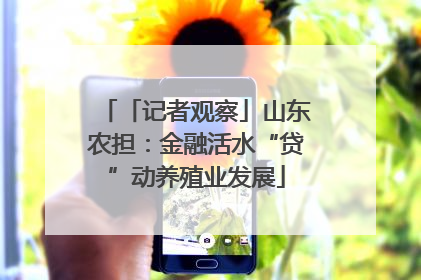 「记者观察」山东农担：金融活水“贷”动养殖业发展