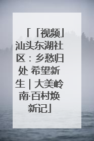 「视频」汕头东湖社区：乡愁归处 希望新生｜大美岭南·百村焕新记