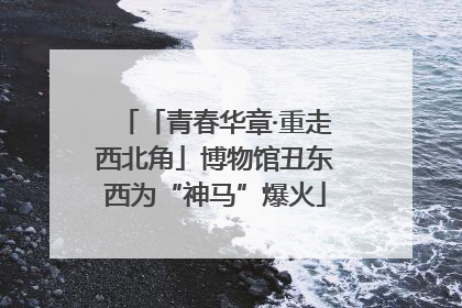 「青春华章·重走西北角」博物馆丑东西为“神马”爆火