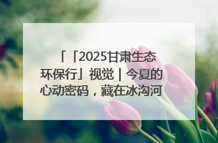 「2025甘肃生态环保行」视觉｜今夏的心动密码，藏在冰沟河的潋滟波光里