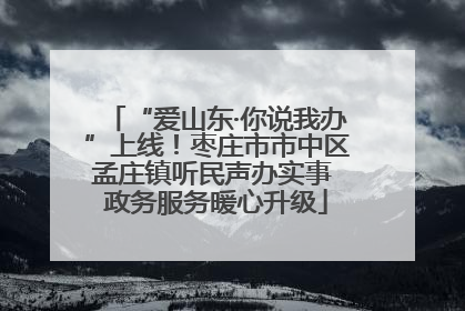 “爱山东·你说我办”上线！枣庄市市中区孟庄镇听民声办实事 政务服务暖心升级