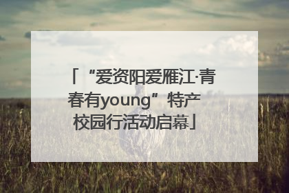 “爱资阳爱雁江·青春有young”特产校园行活动启幕