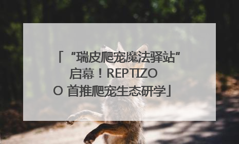 “瑞皮爬宠魔法驿站” 启幕！REPTIZOO 首推爬宠生态研学