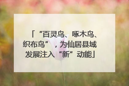 “百灵鸟、啄木鸟、织布鸟”，为仙居县域发展注入“新”动能