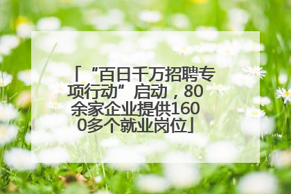 “百日千万招聘专项行动”启动，80余家企业提供1600多个就业岗位