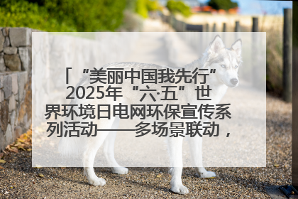 “美丽中国我先行” 2025年“六·五”世界环境日电网环保宣传系列活动——多场景联动，共筑生态发展新图景
