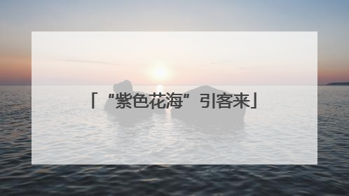 “紫色花海”引客来