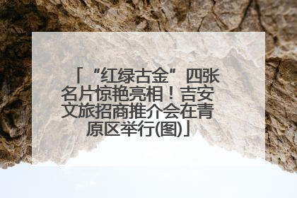 “红绿古金”四张名片惊艳亮相！吉安文旅招商推介会在青原区举行(图)