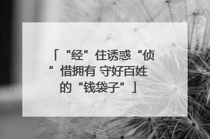 “经”住诱惑“侦”惜拥有 守好百姓的“钱袋子”