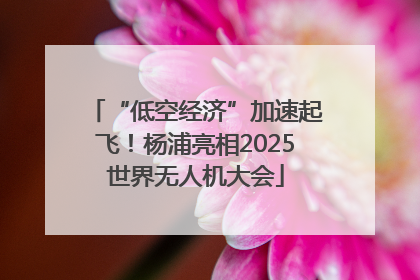 “低空经济”加速起飞！杨浦亮相2025世界无人机大会