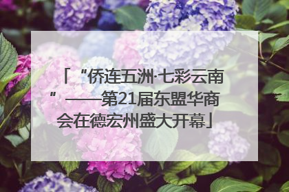 “侨连五洲·七彩云南”——第21届东盟华商会在德宏州盛大开幕