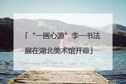 “一画心源”李一书法展在湖北美术馆开幕