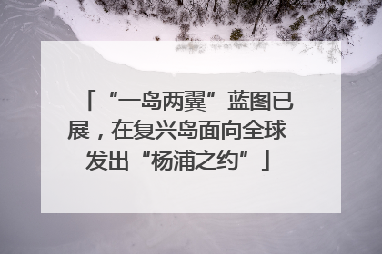 “一岛两翼”蓝图已展，在复兴岛面向全球发出“杨浦之约”