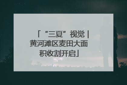 “三夏”视觉｜黄河滩区麦田大面积收割开启