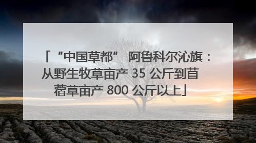 “中国草都” 阿鲁科尔沁旗：从野生牧草亩产 35 公斤到苜蓿草亩产 800 公斤以上