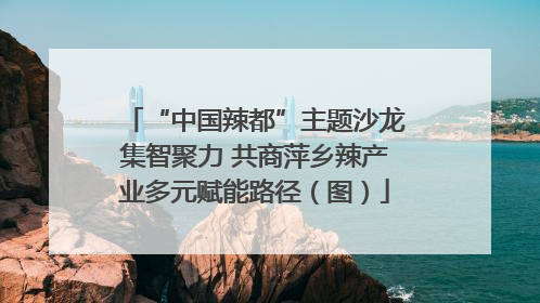“中国辣都”主题沙龙集智聚力 共商萍乡辣产业多元赋能路径（图）