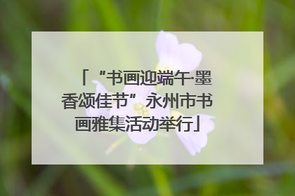 “书画迎端午·墨香颂佳节”永州市书画雅集活动举行