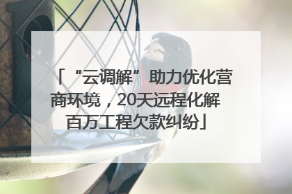 “云调解”助力优化营商环境，20天远程化解百万工程欠款纠纷