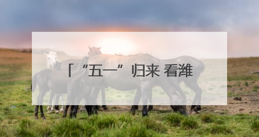 “五一”归来 看潍坊港华“劳动”答卷