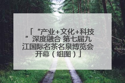 “产业+文化+科技”深度融合 第七届九江国际名茶名泉博览会开幕（组图）