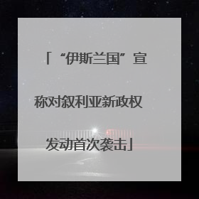 “伊斯兰国”宣称对叙利亚新政权发动首次袭击