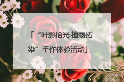 “叶影拾光·植物拓染”手作体验活动