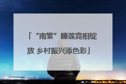 “南繁”睡莲竞相绽放 乡村振兴添色彩