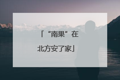“南果”在北方安了家