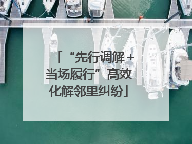 “先行调解＋当场履行”高效化解邻里纠纷