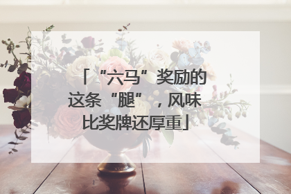 “六马”奖励的这条“腿”，风味比奖牌还厚重