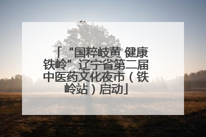 “国粹岐黄 健康铁岭”辽宁省第二届中医药文化夜市（铁岭站）启动