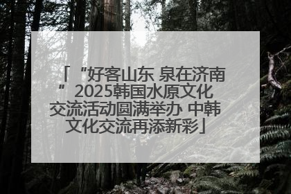 “好客山东 泉在济南”2025韩国水原文化交流活动圆满举办 中韩文化交流再添新彩