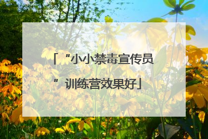 “小小禁毒宣传员”训练营效果好