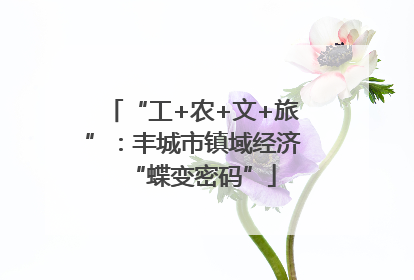 “工+农+文+旅”：丰城市镇域经济“蝶变密码”
