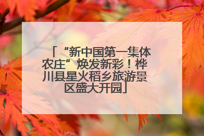 “新中国第一集体农庄”焕发新彩！桦川县星火稻乡旅游景区盛大开园