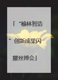 “榆林智造”创新成果闪耀丝博会