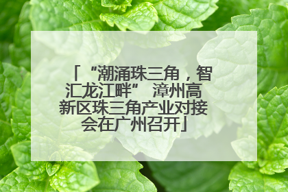 “潮涌珠三角，智汇龙江畔” 漳州高新区珠三角产业对接会在广州召开