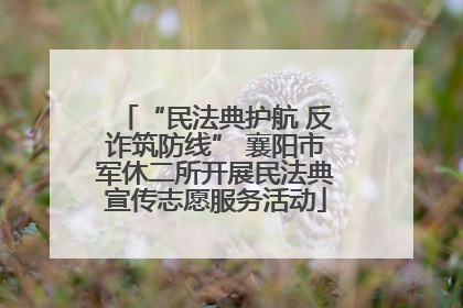 “民法典护航 反诈筑防线” 襄阳市军休二所开展民法典宣传志愿服务活动