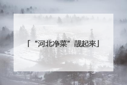 “河北净菜”靓起来