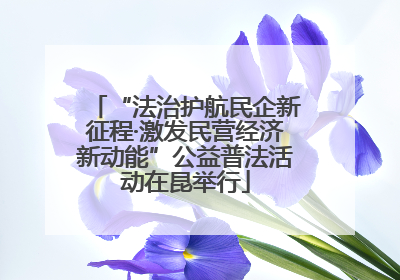 “法治护航民企新征程·激发民营经济新动能”公益普法活动在昆举行