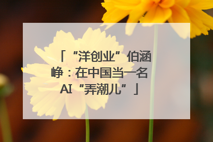 “洋创业”伯涵峥：在中国当一名AI“弄潮儿”