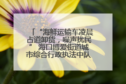 “海鲜运输车凌晨占道卸货,噪声扰民” 海口博爱街道城市综合行政执法中队:将联合交警加强长堤路一带巡逻