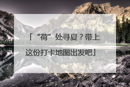 “荷”处寻夏？带上这份打卡地图出发吧
