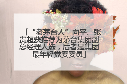 “老茅台人”向平、张贵超获推荐为茅台集团副总经理人选，后者是集团最年轻党委委员