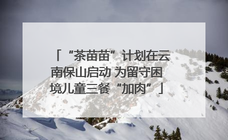 “茶苗苗”计划在云南保山启动 为留守困境儿童三餐“加肉”