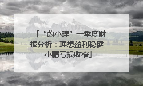 “蔚小理”一季度财报分析：理想盈利稳健 小鹏亏损收窄